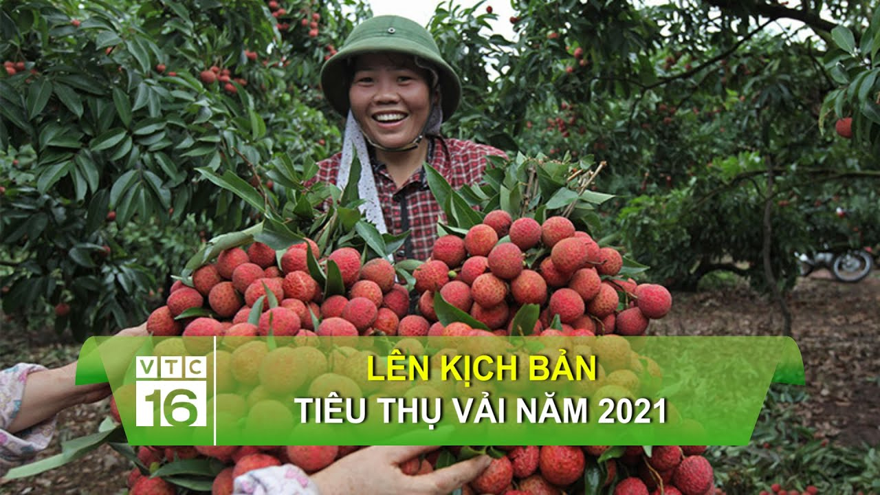 Video ngắn – Giải pháp truyền thông thông minh cho doanh nghiệp nhỏ_Tuyển dụng Ma trận điểm truy cập