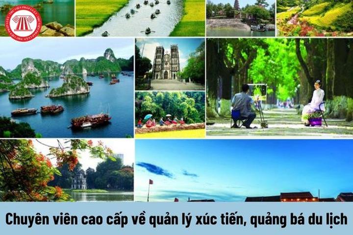Hotspot Matrix - Giải Pháp Toàn Diện Cho Truyền Thông Số_Thương mại điện tử Trung Quốc