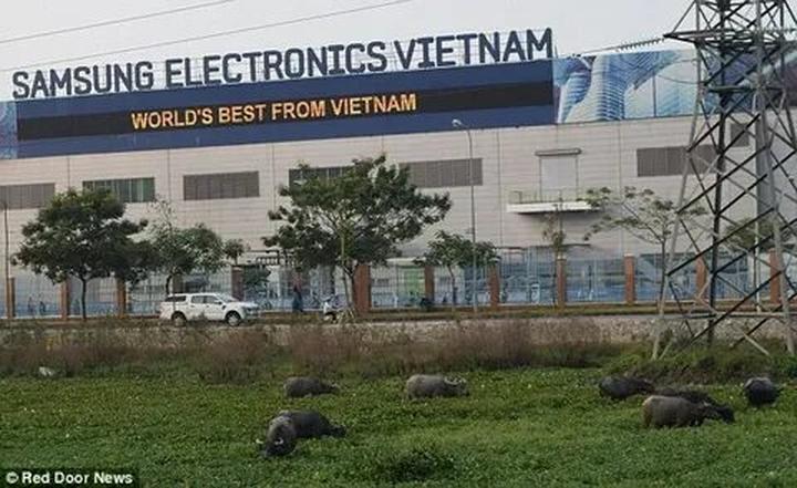 Xu hướng Quá khứ từng bị chèn ép của: Hotspot Matrix tiết lộ bí quyết video viral_Làm video ngắn trên điện thoại